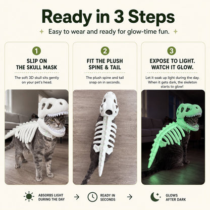 Glow in the Dark Dinosaur Skeleton Cat Costume