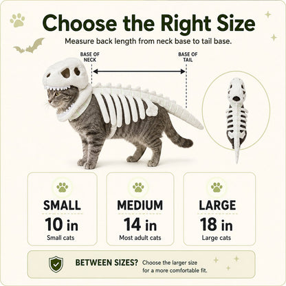 Glow in the Dark Dinosaur Skeleton Cat Costume