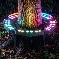 Colorful Light