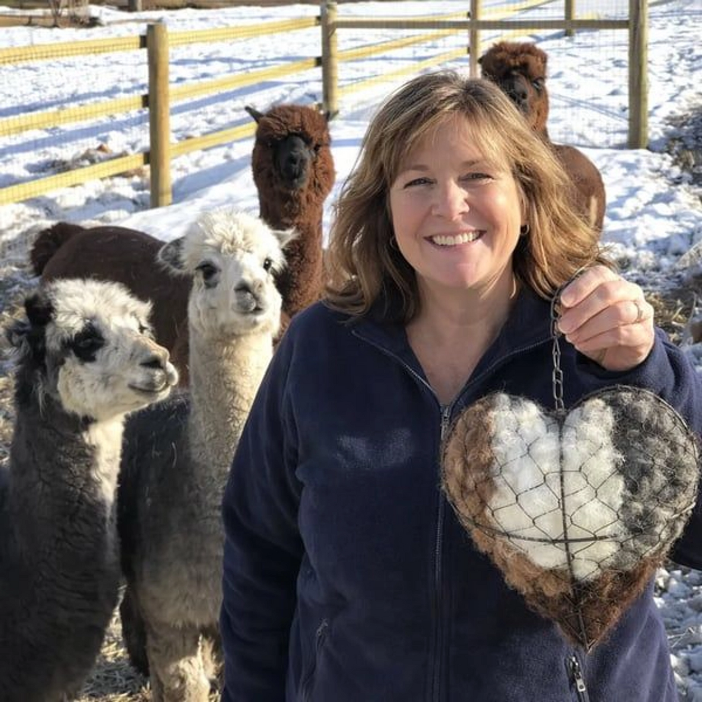 🔥LAST DAY 50% OFF - 🕊️🏡Handmade Natural Alpaca Fiber Bird Nesting Heart❤️Bird lovers gift